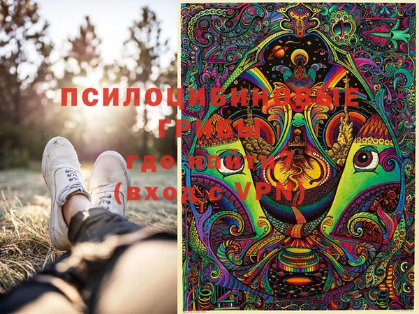 твердый Арсеньев