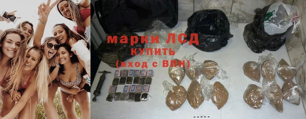 твердый Арсеньев