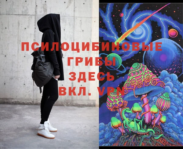 твердый Арсеньев